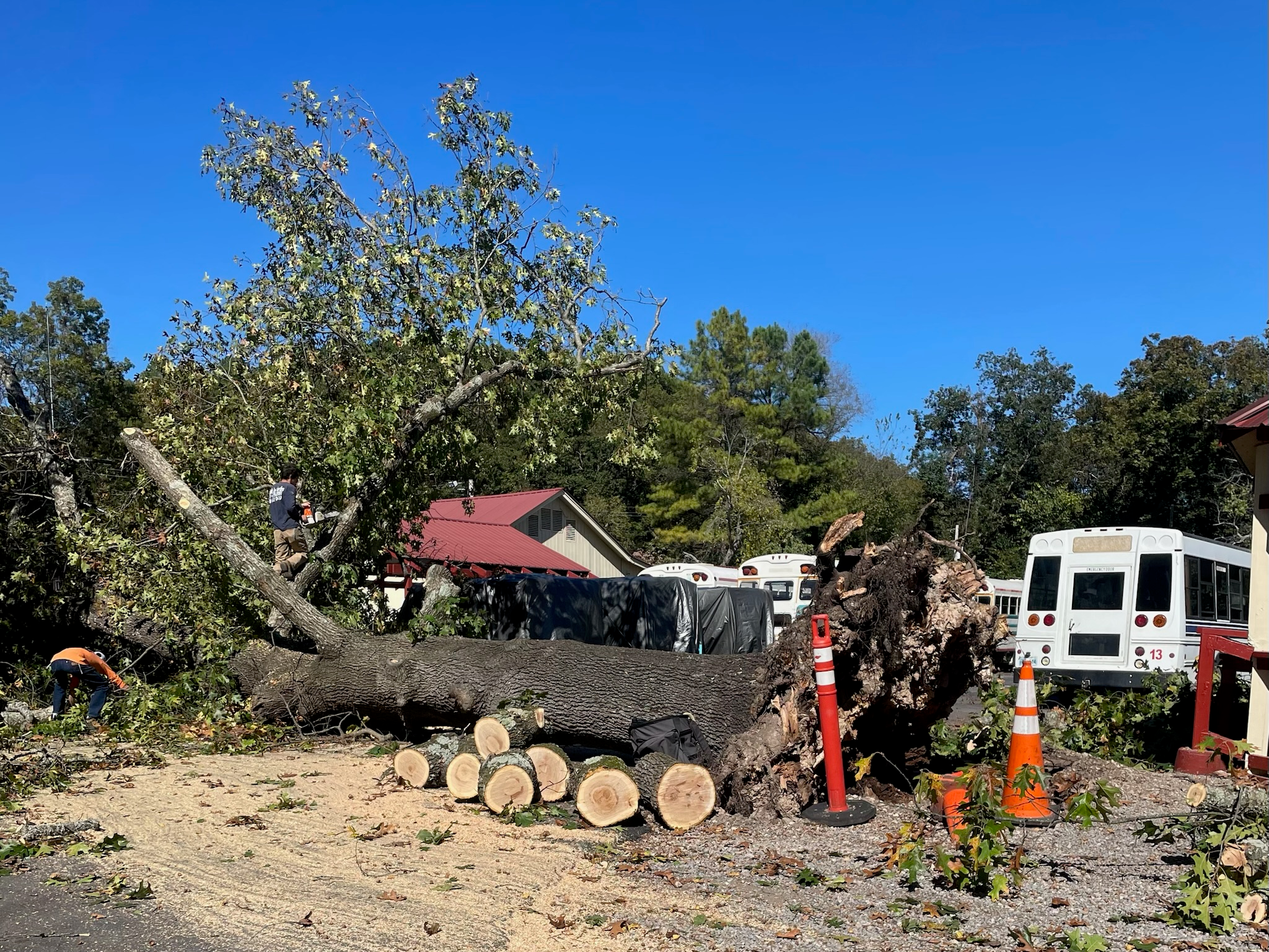 High Winds caused Storm Damage to Building and Local Tree Service Removes Fallen Tree